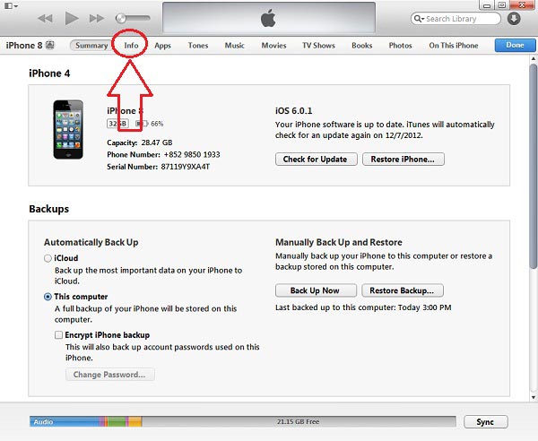 iTunes Info tab